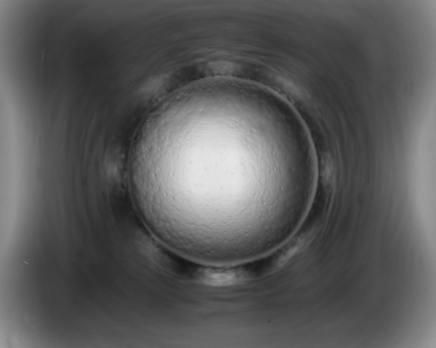 X0000085010181200703121529