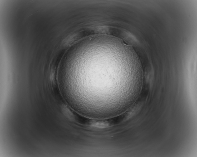 X0000085010185200703121529