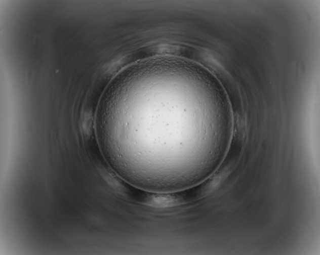 X0000085010189200703121529