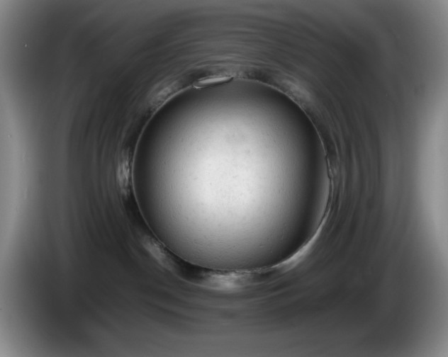 X0000085010190200703121529