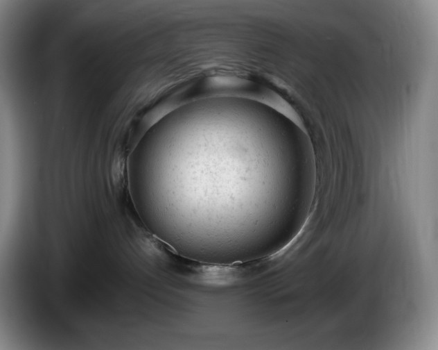 X0000085010192200703121529