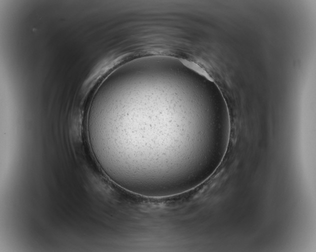 X0000085010194200703121529
