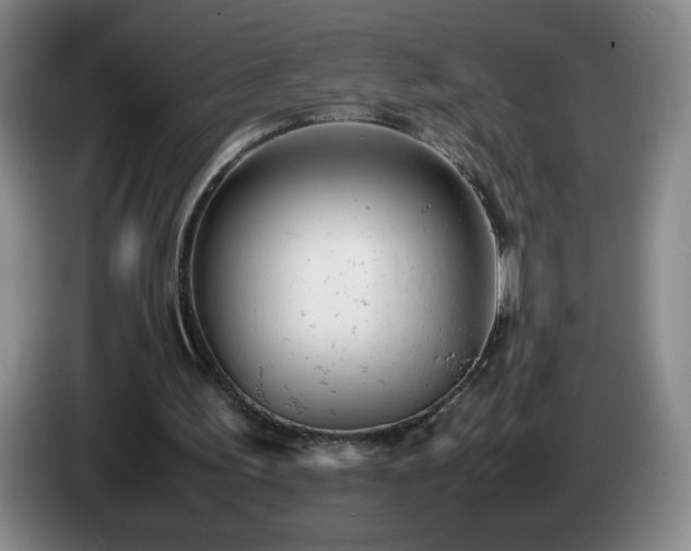 X0000085010195200703121529