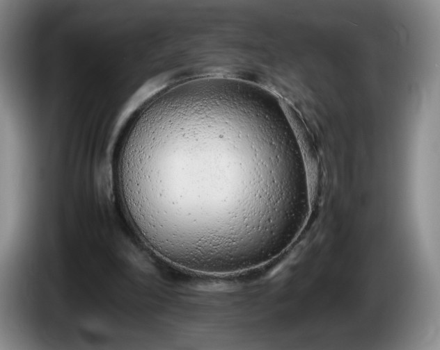 X0000085010198200703121528