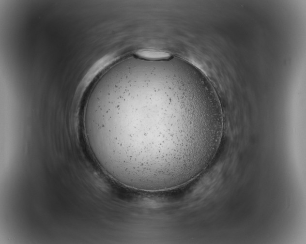 X0000085010199200703121528