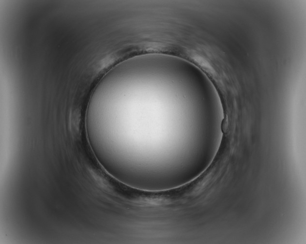 X0000085010201200703121528