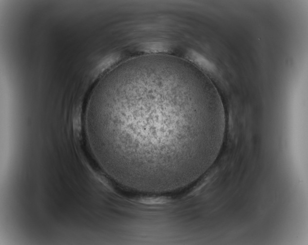 X0000085010202200703121528