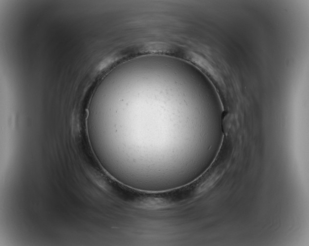 X0000085010203200703121528