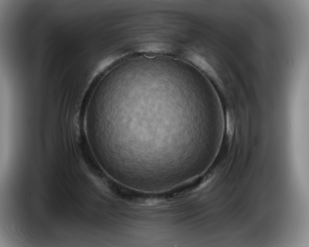 X0000085010204200703121528