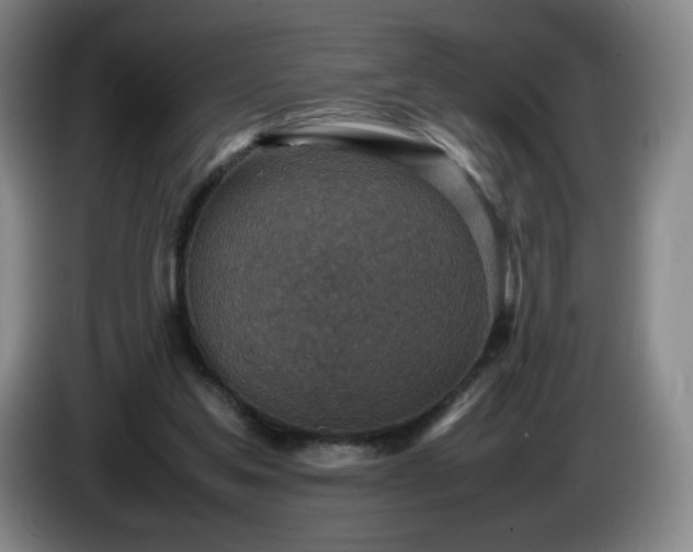 X0000085010205200703121528