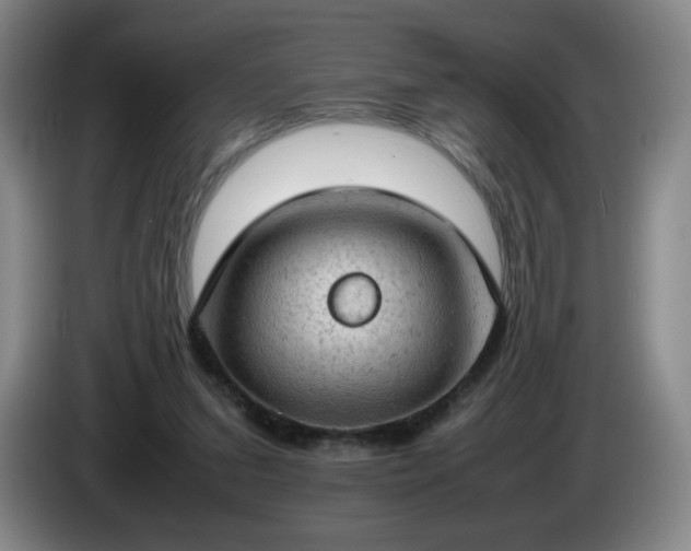 X0000085010207200703121528