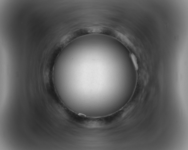 X0000085010209200703121528