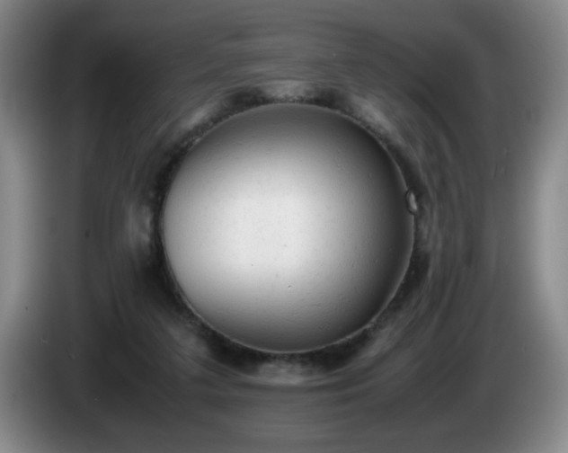 X0000085010211200703121528