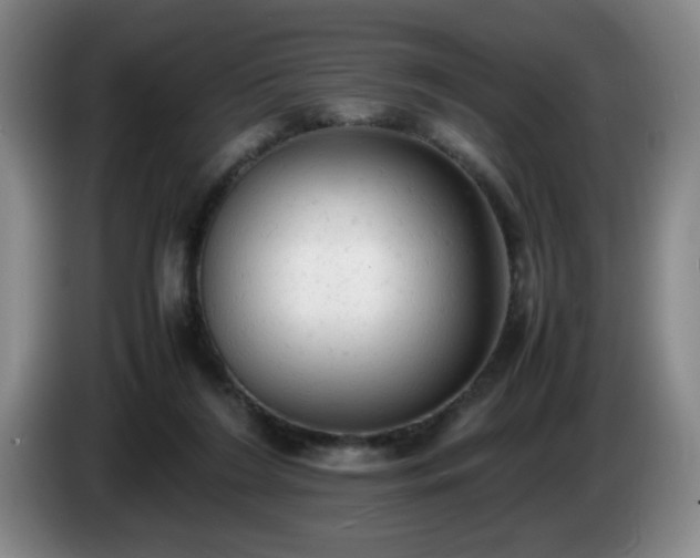 X0000085010212200703121528