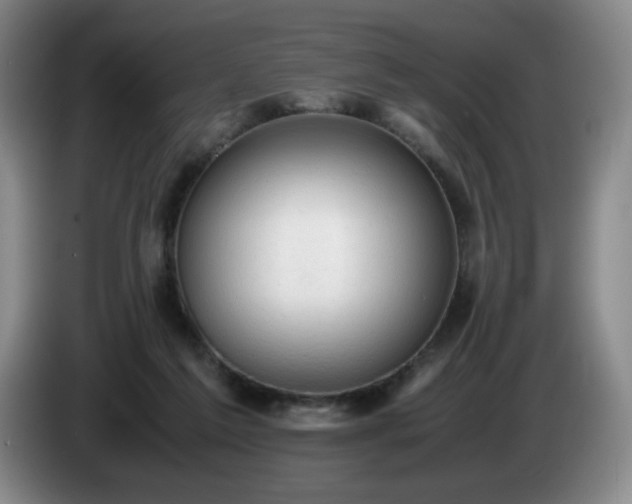 X0000085010213200703121528