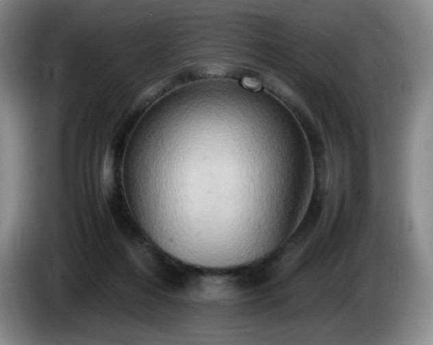 X0000085010216200703121528