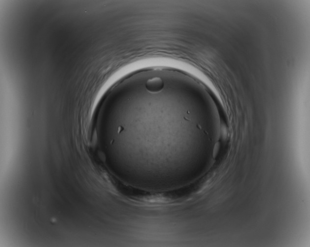 X0000085010219200703121528