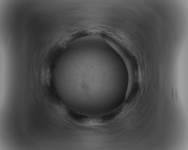 X0000085010223200703121528