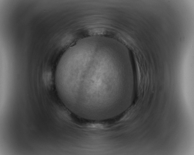 X0000085010224200703121528