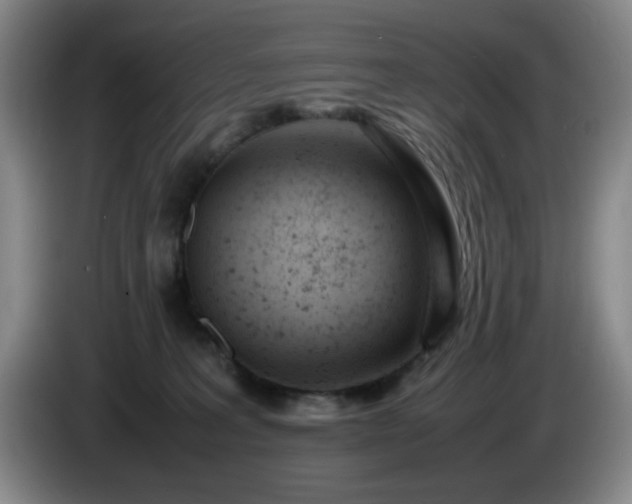 X0000085010227200703121528