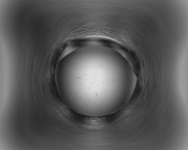 X0000085010229200703121528