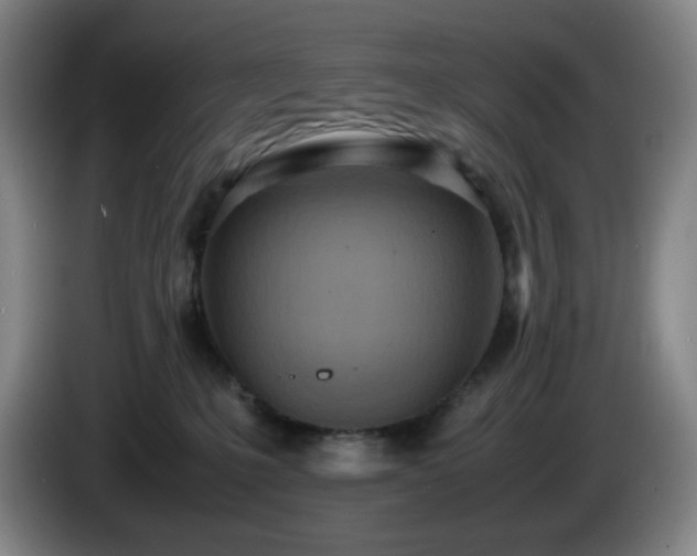 X0000085010231200703121528