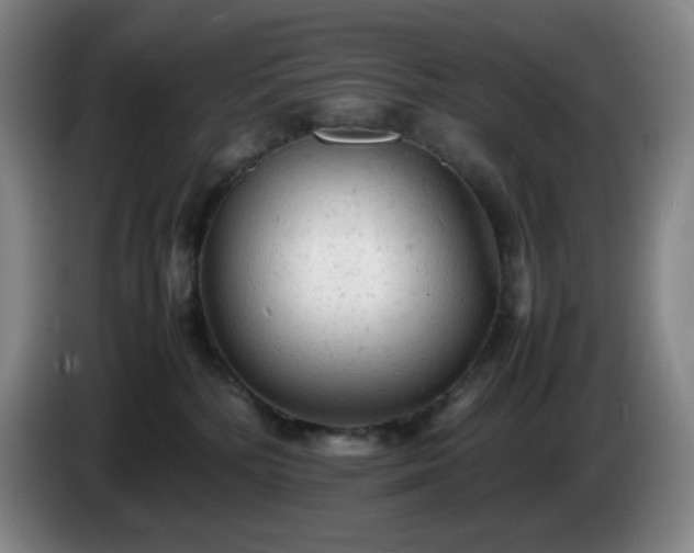 X0000085010232200703121528