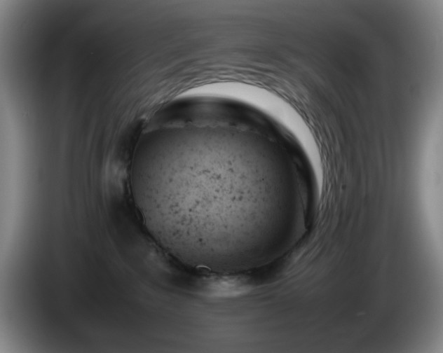 X0000085010235200703121528