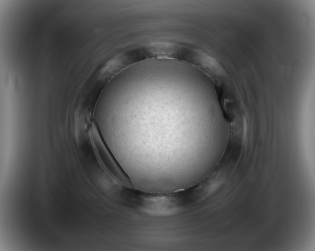 X0000085010237200703121528