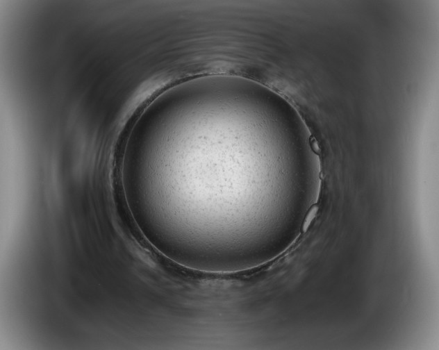 X0000085010242200703121527