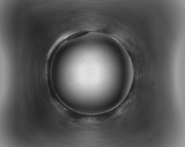 X0000085010244200703121527