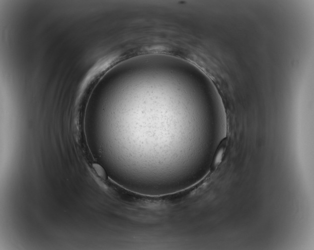 X0000085010245200703121527