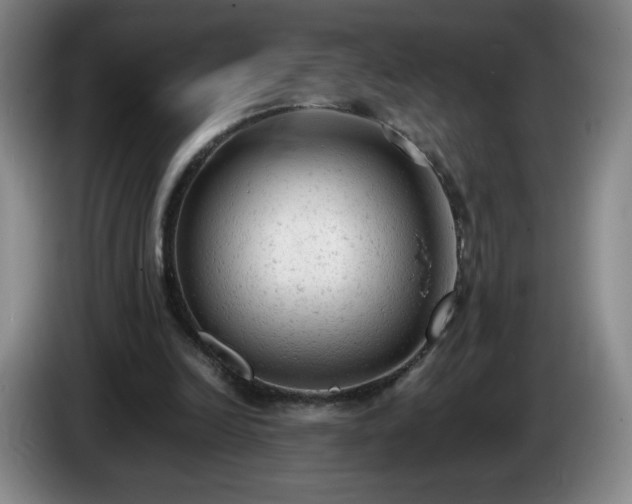 X0000085010246200703121527