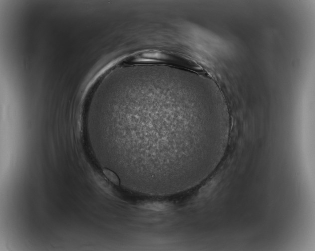 X0000085010247200703121527