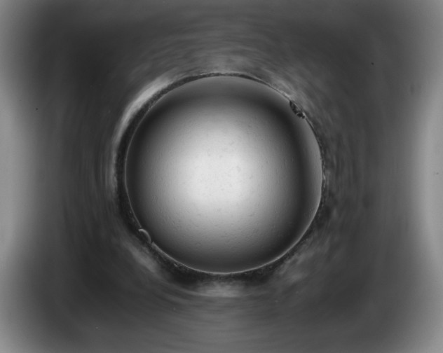 X0000085010248200703121527
