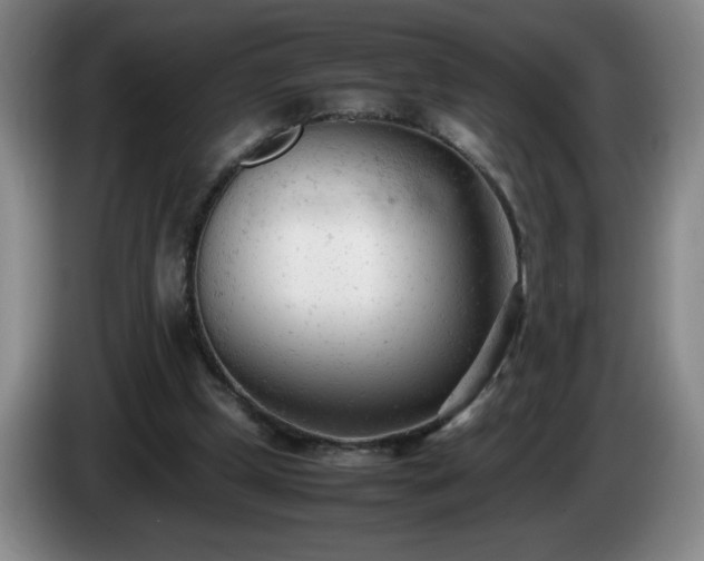 X0000085010249200703121527
