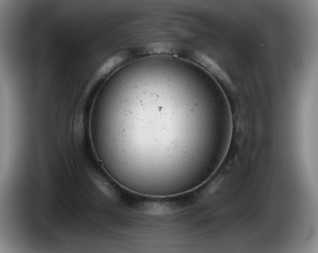 X0000085010250200703121527