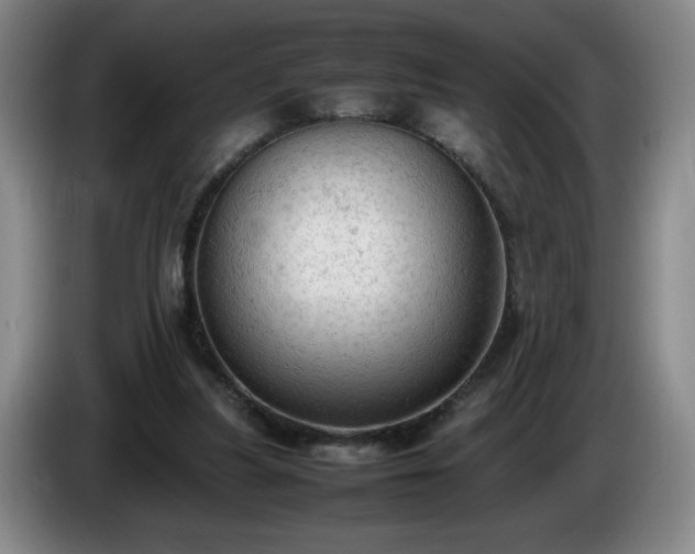 X0000085010251200703121527