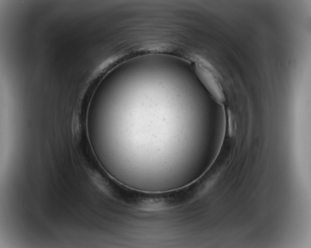 X0000085010252200703121527