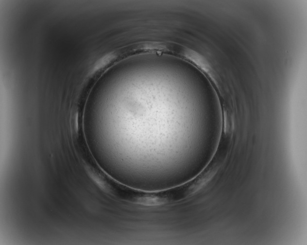 X0000085010253200703121527