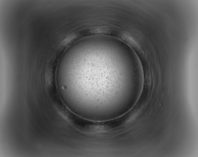 X0000085010255200703121527