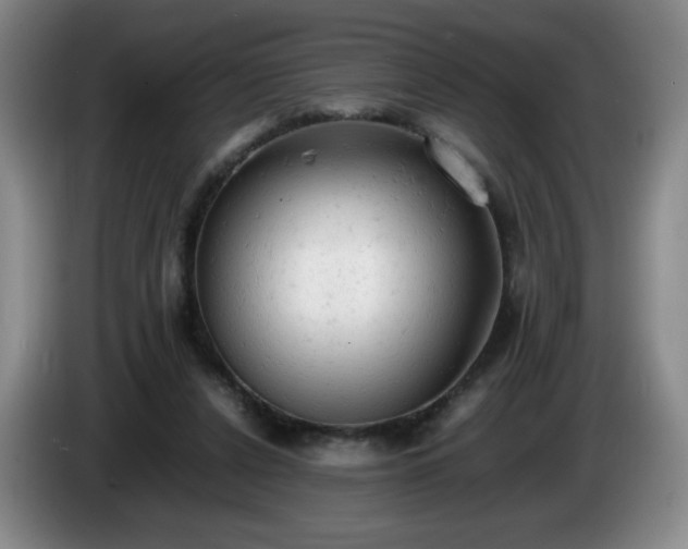 X0000085010256200703121527