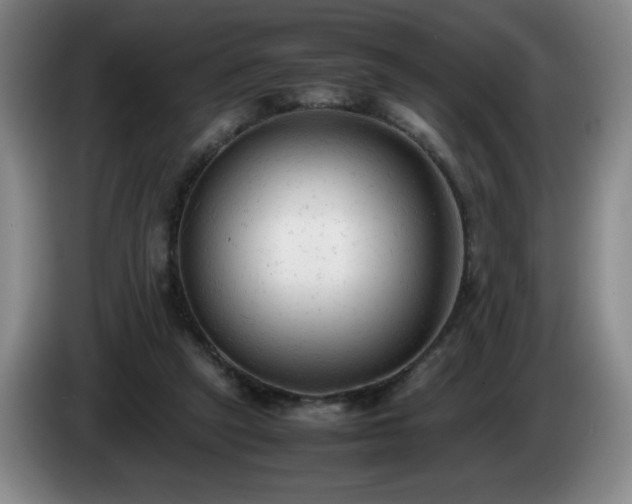 X0000085010257200703121527