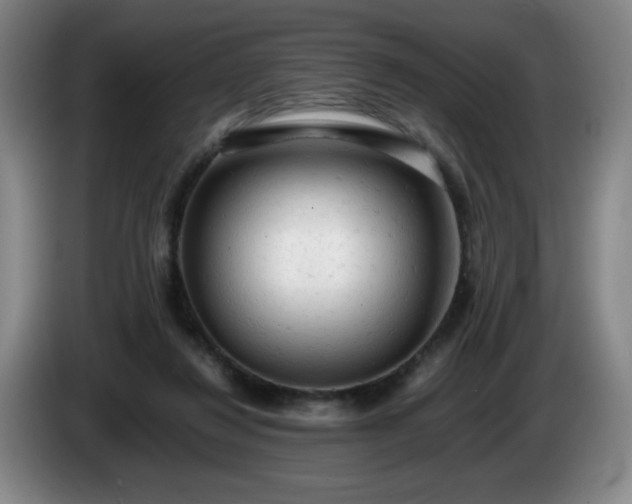 X0000085010260200703121528