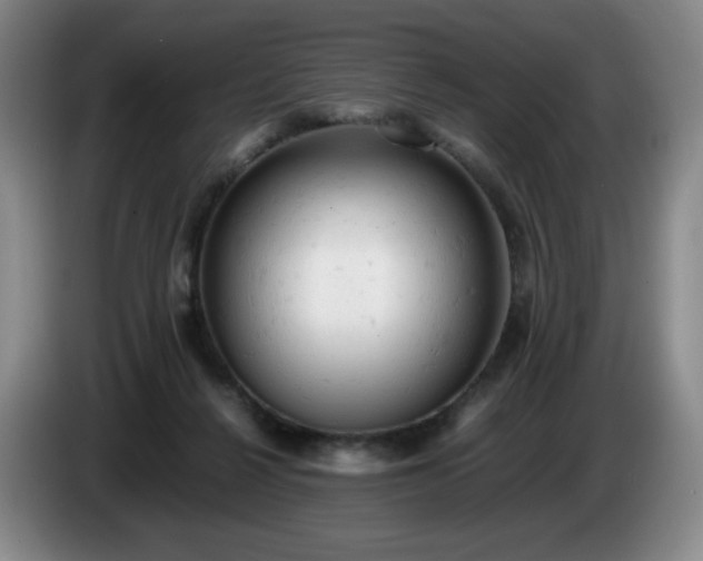 X0000085010264200703121528