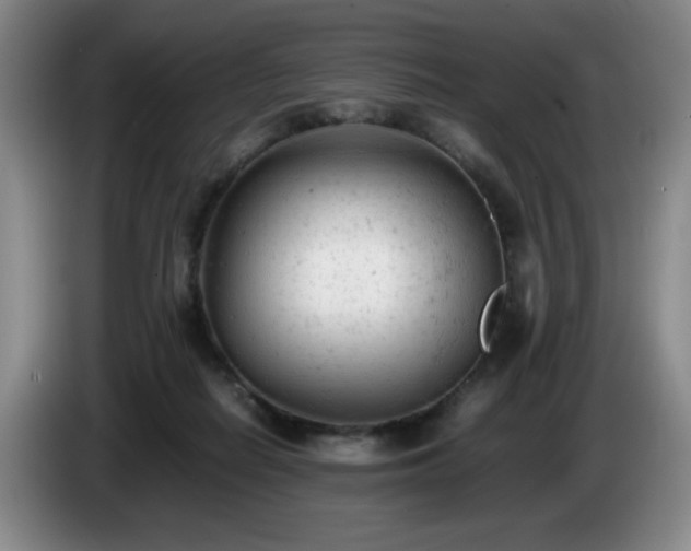 X0000085010266200703121528