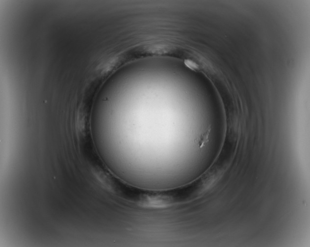 X0000085010268200703121528