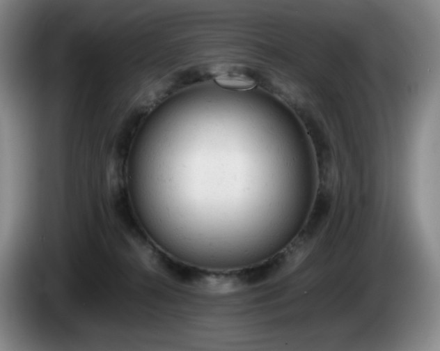 X0000085010272200703121528