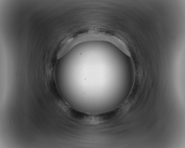 X0000085010276200703121528