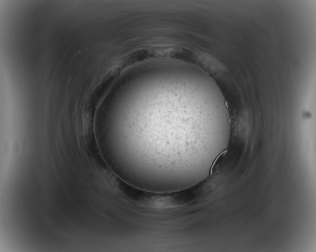 X0000085010283200703121528